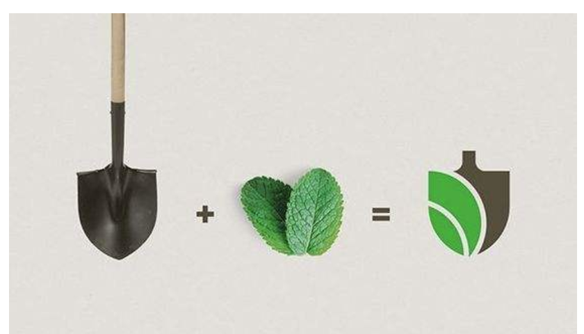 植物蛋白饮品要如何进行品牌策划才能吸引消费者